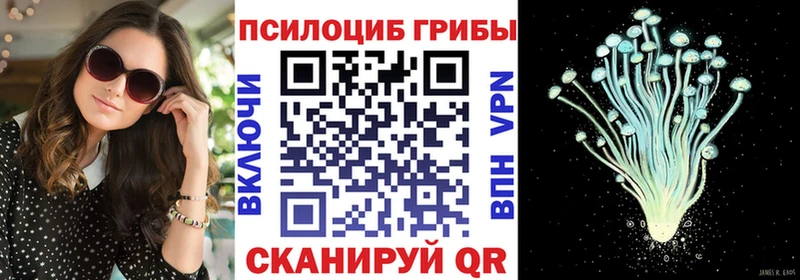 наркота  Полярный  Галлюциногенные грибы Psilocybe 